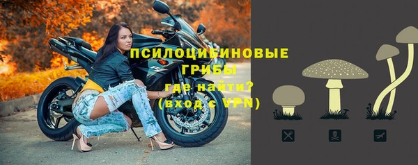 ПСИЛОЦИБИНОВЫЕ ГРИБЫ Волосово