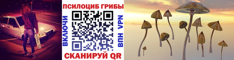 Галлюциногенные грибы MAGIC MUSHROOMS  как найти наркотики  Динская 
